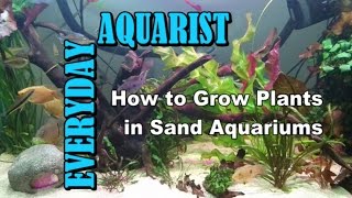 How to Grow Plants in Sand Aquariums [upl. by Melinda]