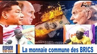 urgent La monnaie commune des BRICS [upl. by Nilyac520]