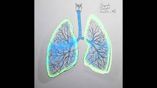 Pneumothorax Animation Shorts [upl. by Lesde]