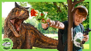 How to Find a Baby TRex  TRex Ranch Dinosaur Videos [upl. by Adivad]