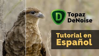 Review y Tutorial completo de Topaz DeNoise 3 en Español [upl. by Kiefer430]