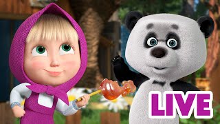 ماشا والدب 👱‍♀️ LIVE STREAM 🙅‍♀️😲 لم أكن أنا 🙅‍♀️😲 Masha and the Bear [upl. by Nedap53]