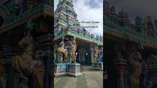 Mel Pazhani Murugan Temple Mayiladumkunnu Kozhikode melpazhanitemple temple [upl. by Helli]