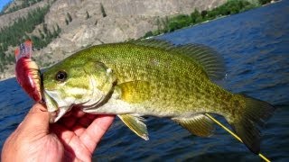 Smallmouth Bass on Vaseux Lake Kayak fishing [upl. by Suiratnod]