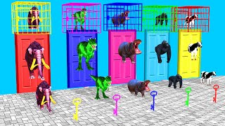 Choose The Right Mystery Cage And Door With Gorilla Cow Mammoth Hippo Dinosaur Wild Animal Games [upl. by Thurmann476]