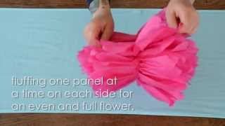 How To Assemble Tissue Paper Flower Pom Poms [upl. by Shaffert654]