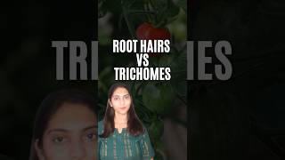 Root Hairs and Trichomes Difference shorts neet youtubeshorts [upl. by Tsnre]