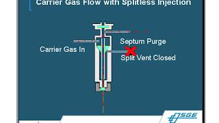 Gas ChromatographyMass Spectrometry GCMS Principles amp Techniques [upl. by Bolger361]