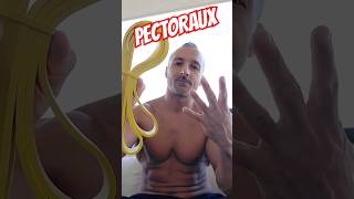 4 EXERCICES PECTORAUX AVEC ÉLASTIQUE [upl. by Maddie821]