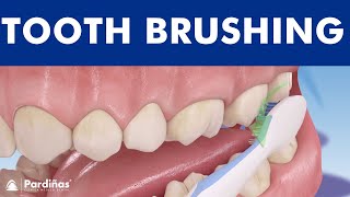 Tooth brushing – How to brush your teeth © [upl. by Divd]