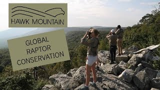 Hawk Mountain Global Conservation Traineeship [upl. by Nickolaus]