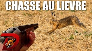 Chasse petit gibier en plaine [upl. by Veradia]