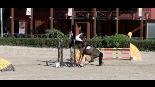 Horse jump fail compilation  SLaudiovisual 2015 [upl. by Currier]