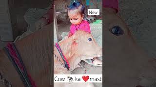 🐄🐄 cow ka ❤️❤️shat mashti funny babysorts funnytone 😘😘👍 [upl. by Tichonn]