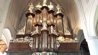 Meditatie Psalm 27  Hendrik Jan van der Heiden  Hinszorgel Martinikerk Bolsward [upl. by Chariot533]