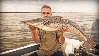 LA MERVEILLE DU FLEUVE PARANÁ  Cyril Chauquet [upl. by Naneik]