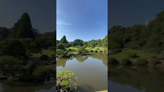 UN JARDIN JAPONAIS EN PLEIN TOKYO 😱😱😱 [upl. by Airdnat394]