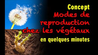 174  Modes de reproduction chez les végétaux [upl. by Alice]