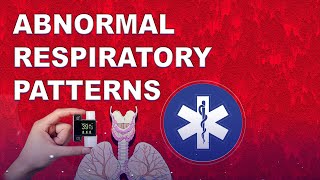 Abnormal Respiratory Patterns amp Associated Health Affects [upl. by Burgess]