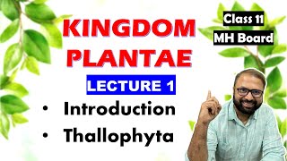 Thallophyta Kingdom Plantae Lecture 1  Class 11 Biology  Maharashtra State Board [upl. by Cook836]