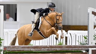 Halo amp Carsyn Korotkin Medium Pony Hunter WEC Ocala 2024 🥇 [upl. by Sillihp]