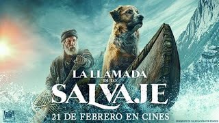 El Llamado Salvaje 2020 🎬 La Mejor PELICULA de AVENTURAS en ESPAÑOL [upl. by Ahsila]