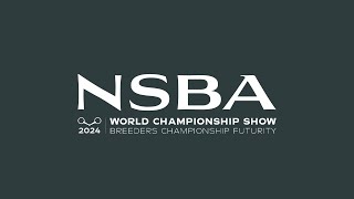 2024 NSBA World Show Friday August 16 Mustang Arena [upl. by Beverley969]