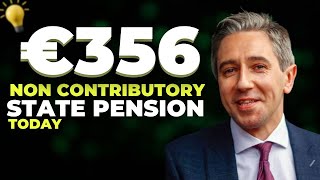 GET READY SENIORS  €356 NON CONTRINUTORY STATE PENSION FOR IRELANDS SENIORS  COMING TODAY [upl. by Anaek49]