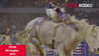 Virgil The Best Bucking Horse Of All Time [upl. by Sarene]