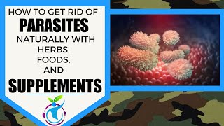 How To Get Rid Of Parasites Naturally with Herbs Foods and Supplements [upl. by Romain]