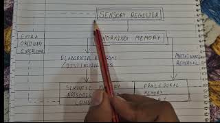 Consolidated Memory Model [upl. by Ainsworth]