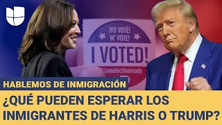 Deportaciones masivas de Trump y planes de Harris para los inmigrantes Hablemos de Inmigración [upl. by Anahpos]