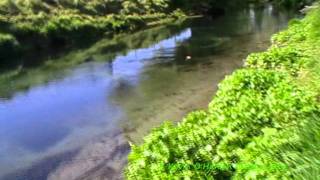 Fly fishing in New ZealandSpring creek wanderings 1 [upl. by Lertram]