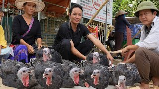 2 year living in forest Bring turkey to market to sell Vang Hoa [upl. by Ezaria]