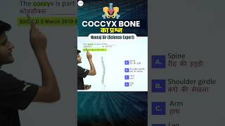 Science  Coccyx Bone का Question neerajsir sciencemagnetshort [upl. by Sclar141]