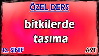 24 Bitkilerde Taşıma  Özel Ders 12 Sınıf [upl. by Ioj]