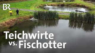 Dürfen Fischotter zum Schutz der Fischzucht gejagt werden  Landwirtschaft  BR [upl. by Yrrag]