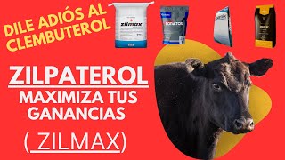 ZILPATEROL PRODUCE MAS CARNE  DILE ADIÓS AL CLEMBUTEROL EN EL GANADO [upl. by Ayaros]