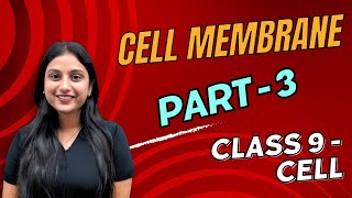 Essential Cell Transport Mechanisms Explained [upl. by Yeldua347]