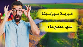 ✅فيرمة ممتازة🌲 3كلم من بوزنيقة ✅ و فيها منبع ماء🌲 [upl. by Niram]