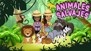 ANIMALES SALVAJES PARA NIÑOSVIDEOS EDUCATIVOS PARA NIÑOS [upl. by Bornie861]