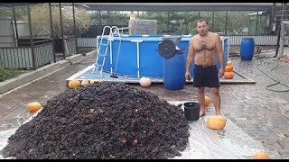 Red Wine at Home  How to Make Wine  GEORGY KAVKAZ [upl. by Ahsinuq123]