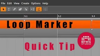 Bitwig Quick Tips Loop Marker [upl. by Gnart]