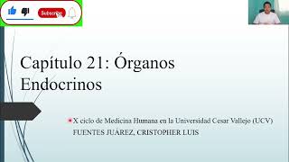 HISTOLOGÍA ÓRGANOS ENDOCRINOS [upl. by Noreh]