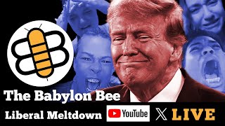 The Bee Reacts To Liberal Election Meltdowns [upl. by Houston574]