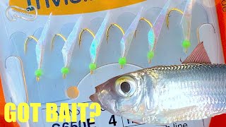 HOW TO USE A SABIKI RIG TO CATCH BAIT FF Episode 13 Season 1 [upl. by Spevek]