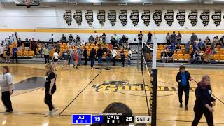 Goreville Lady Blackcats Volleyball vs AJ Lady Wildcats [upl. by Ebehp]