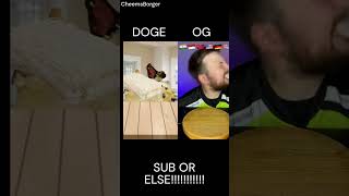 DOGE VS SOMEONE EPIC EATING BATTLE funny funnymemes [upl. by Warford]