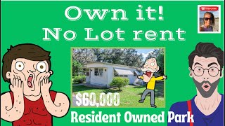 These Mobile Homes For Sale w NO LOT RENT  Zephyrhills Florida [upl. by Anitnauq]