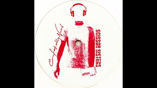 Scissor Sisters • Comfortably Numb Tiga Dub 2003 [upl. by Crandell]